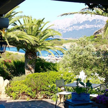 Villa Corallina Costa Corallina Exteriér fotografie
